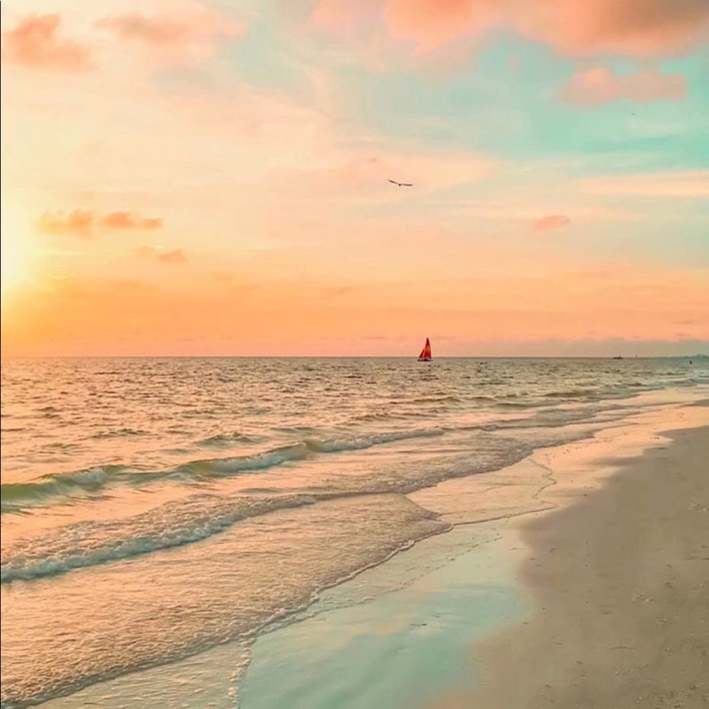 Meet your Posher, Lilie